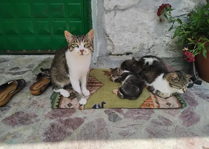 Shtini Casa de hóspedes