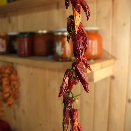 Affittacamere Shtini