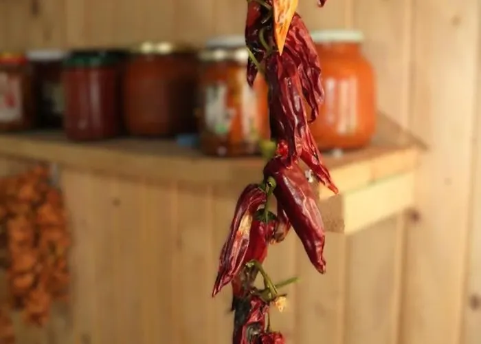 Affittacamere Shtini